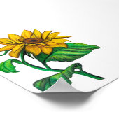 Poster Dessin de tournesol jaune à l'art au crayon de cou (Coin)