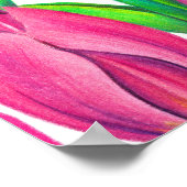 Poster Dessin de tulipes roses botaniques (Coin)
