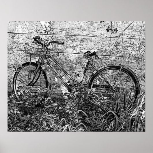 Poster Dessin de vieux vélos abandonnés, noir et blanc (Devant)