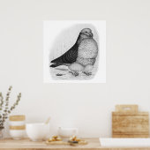 Poster Dessin d'encre de chou chinois (Cuisine)