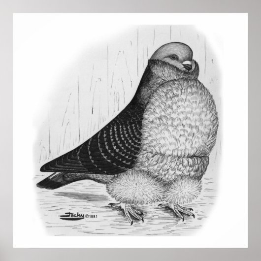 Poster Dessin d'encre de chou chinois (Devant)