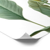 Poster Dessin d'oiseau de paradis (fleur) (Coin)