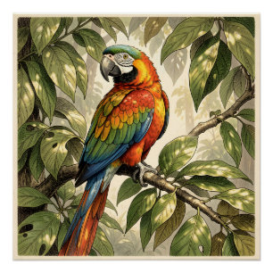 Poster Dessin d'oiseau perroquet sur un arbre
