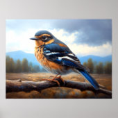 Poster Dessin du Bluebird oriental sur une branche (Devant)