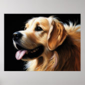 Poster Dessin dur Pastel Golden Retriever (Devant)