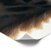 Poster Dessin dur Pastel Leopard (Coin)