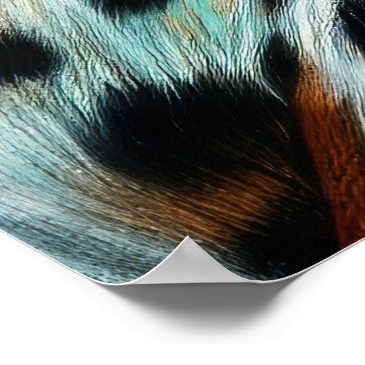 Poster Dessin dur Pastel Leopard (Coin)