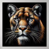 Poster Dessin dur Pastel Lion de montagne (Devant)