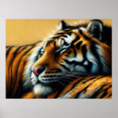 Poster Dessin dur Pastel Sleeping Tiger (Devant)