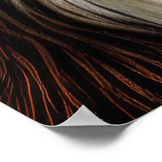 Poster Dessin dur Pastel Terrier (Coin)