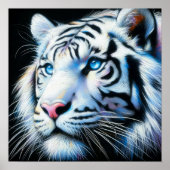Poster Dessin dur Pastel Tigre blanc (Devant)