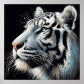 Poster Dessin dur Pastel Tigre blanc (Devant)