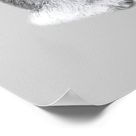 Poster Dessin Fox Terrier (Coin)