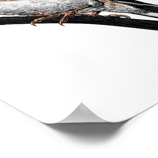 Poster Dessin Goldfinch (Coin)