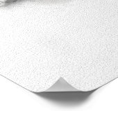 Poster Dessin Goshawk (Coin)