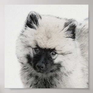 Poster Dessin Keeshond Chiot - Joli dessin original Chien