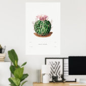 Poster Dessin Nopal d'une image Plante Cactus Fleur Cactu (Bureau à domicile)