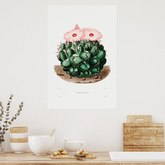 Poster Dessin Nopal d'une image Plante Cactus Fleur Cactu (Cuisine)