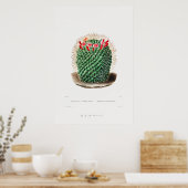 Poster Dessin Nopal d'une image Plante Cactus Fleur Cactu (Cuisine)