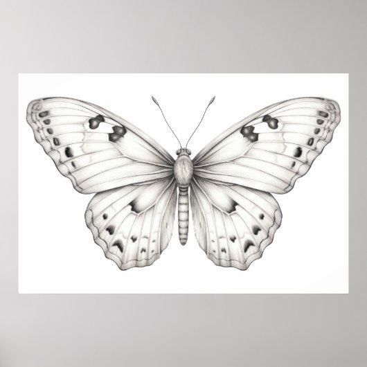 Poster Dessin papillon (Devant)