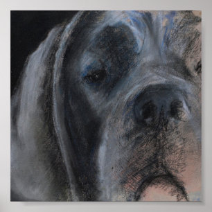 Poster Dessin pastel Grand Danois bleu