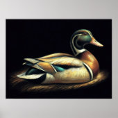 Poster Dessin Pastel Mallard Duck Decoy (Devant)