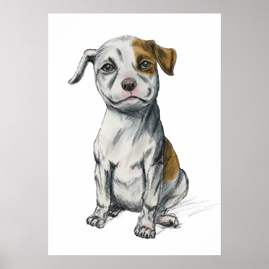 Poster Dessin Pit Bull Puppy (Devant)