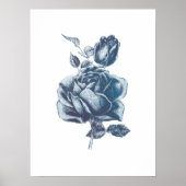 Poster Dessin Rose bleu vintage (Devant)