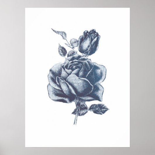 Poster Dessin Rose bleu vintage (Devant)