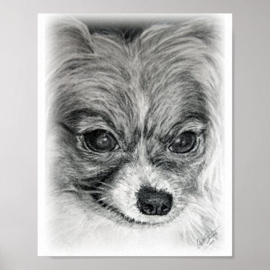 Poster Dessin Sara (Devant)