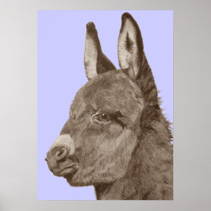 Poster dessin semblable à la vie d'âne mignon