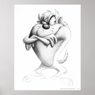 Poster Dessin TAZ™