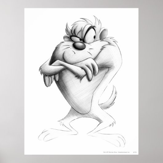 Poster Dessin TAZ™ (Devant)