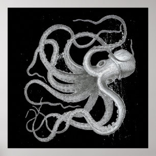 Poster Dessin vintage de Kraken de poulpe nautique de
