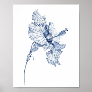 Poster Dessin vintage fleur d'Hibiscus croquis hibiscus ,