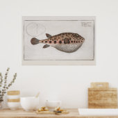 Poster Dessin zoologique vintage Retro Puffy (Cuisine)