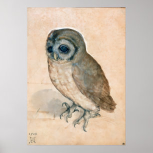 POSTER DESSINS ANIMAUX DE RENAISSANCE / LE BOULE
