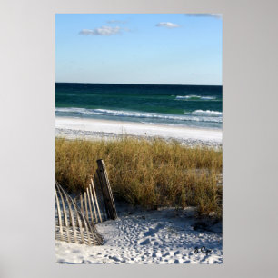 Poster Destin rêvant l'affiche, S Cyr