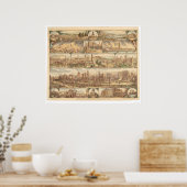 Poster Destruction de San Francisco (0508A) (Cuisine)