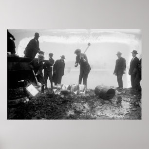 Poster DESTRUCTION DU LIQUEUR par DES AGENTS FÉDÉRAUX 192