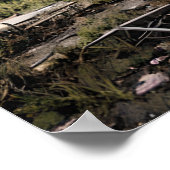 Poster Destruction post-apocalyptique | Bâtiments abandon (Coin)