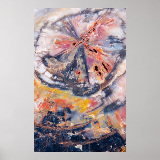 Poster Détail de bois pétrifié, Arizona (Devant)