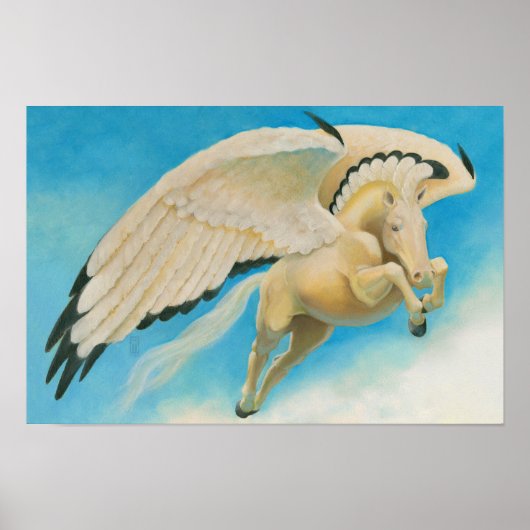 Poster Détail de Mesa Pegasus (Devant)