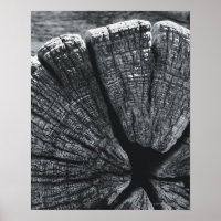 Détail du grain