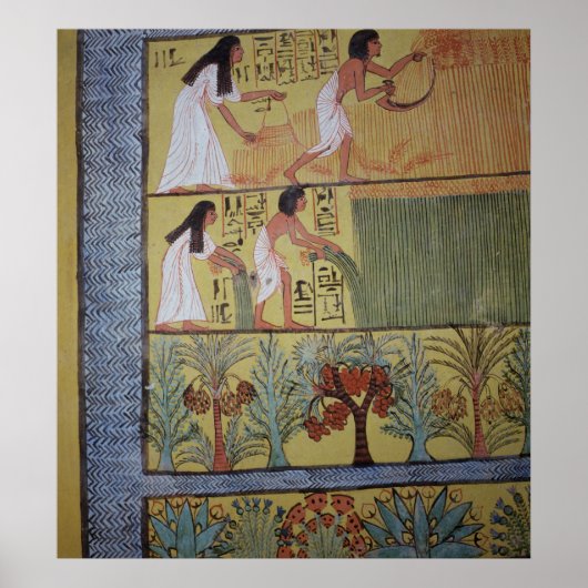 Poster Détail d'une scène de récolte sur le mur Est (Devant)