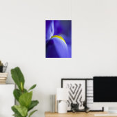 Poster Détail rapproché d'un iris Blue Flag. (Bureau à domicile)