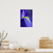 Poster Détail rapproché d'un iris Blue Flag. (Cuisine)