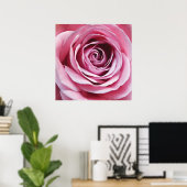 Poster Détail rose rosé, fleur de jardin naturel (Bureau à domicile)