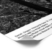 Poster Détail, Vignobles Draper près de St. Helena, 1966 (Coin)