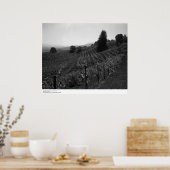 Poster Détail, Vignobles Draper près de St. Helena, 1966 (Cuisine)